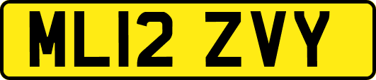 ML12ZVY