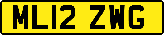 ML12ZWG