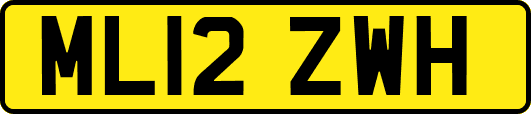 ML12ZWH
