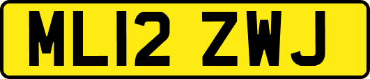 ML12ZWJ