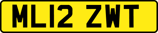 ML12ZWT