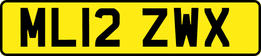 ML12ZWX