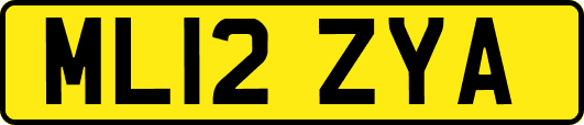 ML12ZYA
