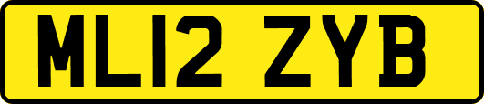 ML12ZYB