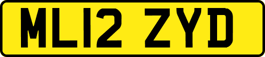 ML12ZYD