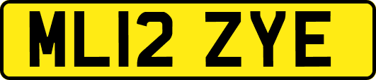 ML12ZYE