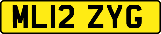 ML12ZYG