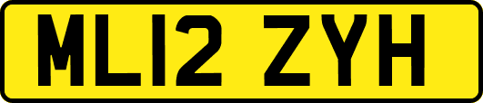 ML12ZYH