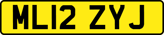ML12ZYJ