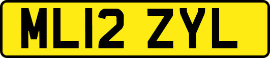ML12ZYL