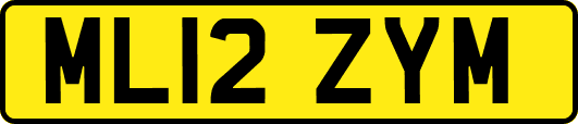 ML12ZYM
