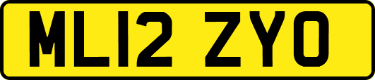 ML12ZYO