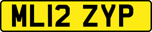 ML12ZYP