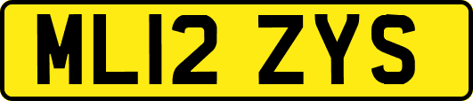 ML12ZYS
