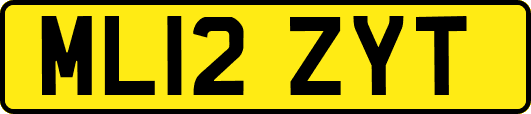 ML12ZYT