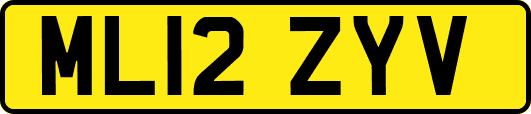 ML12ZYV