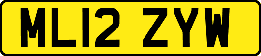 ML12ZYW