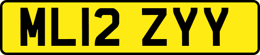 ML12ZYY