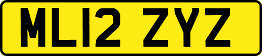 ML12ZYZ
