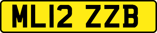 ML12ZZB
