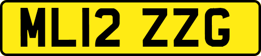ML12ZZG