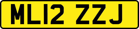 ML12ZZJ