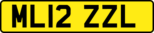 ML12ZZL