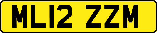 ML12ZZM