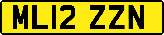 ML12ZZN