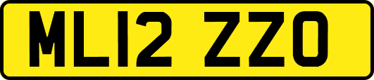 ML12ZZO
