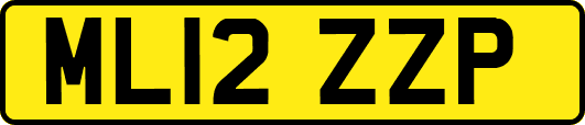 ML12ZZP