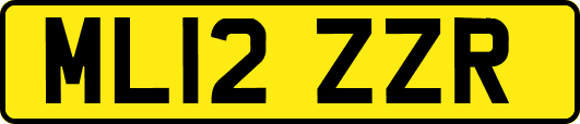 ML12ZZR