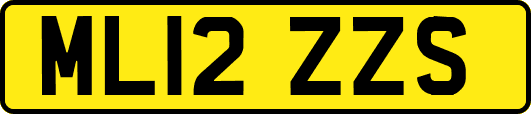 ML12ZZS
