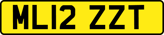 ML12ZZT
