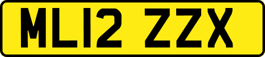 ML12ZZX