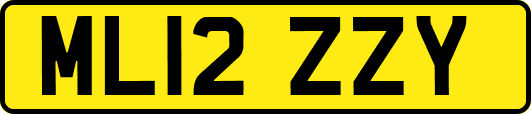 ML12ZZY