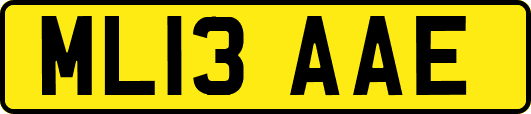 ML13AAE