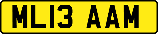 ML13AAM