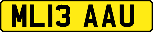 ML13AAU