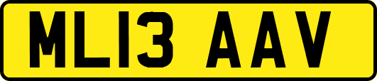 ML13AAV