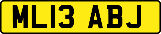 ML13ABJ