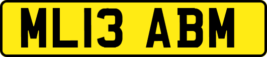 ML13ABM