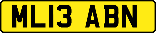 ML13ABN