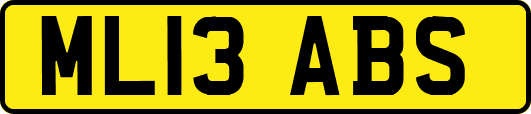 ML13ABS