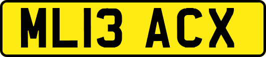 ML13ACX