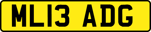 ML13ADG