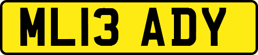 ML13ADY