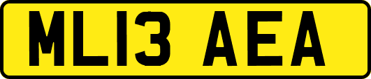 ML13AEA
