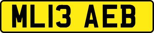 ML13AEB