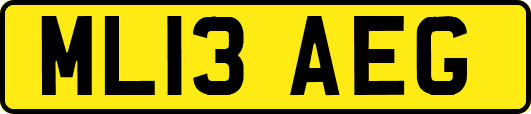 ML13AEG